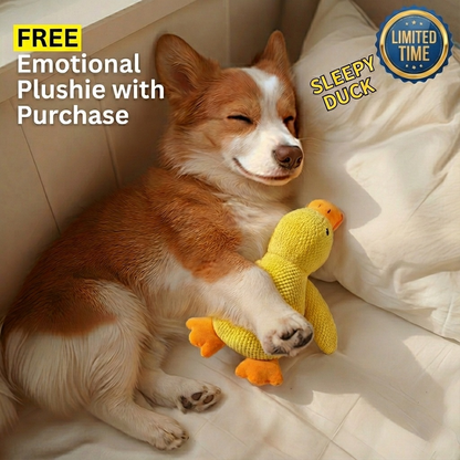 Slow Feeder Dog Bowl